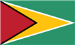 Pudel Züchter und Welpen in Guyana